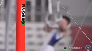 gam varie foto simone ferraro sfa 0715 copia